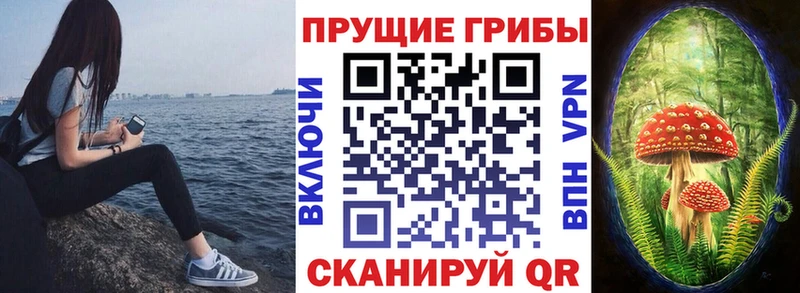 MEGA tor  Мещовск  Псилоцибиновые грибы мицелий  закладка 